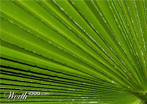 Photography by borbor