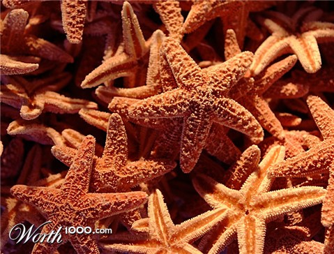 Photography by jiwasz