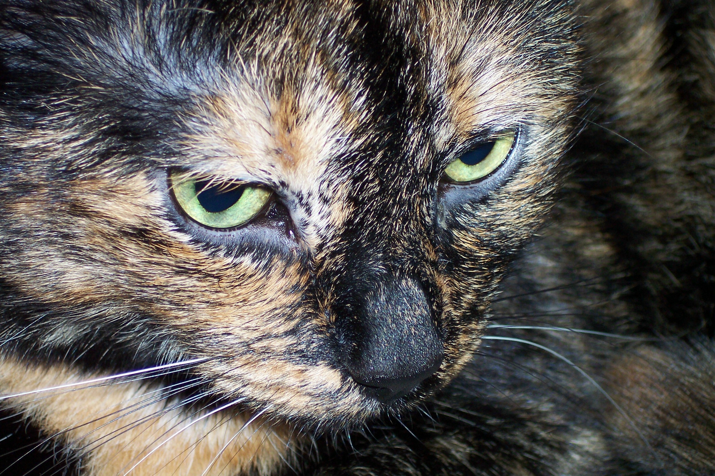 Photography by KCBroadway for DesignCrowd (Community Contests) | Design #9092034