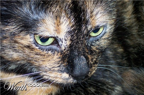 Photography by KCBroadway