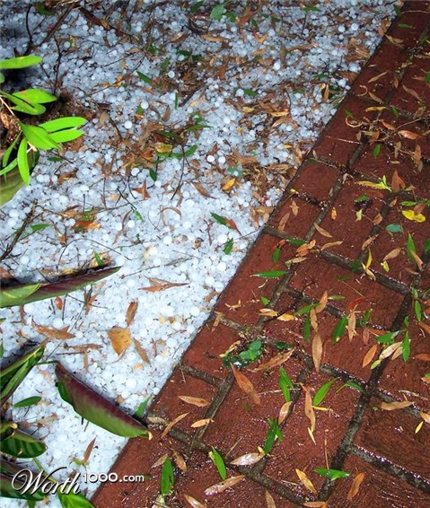 Photography by ozplasmic