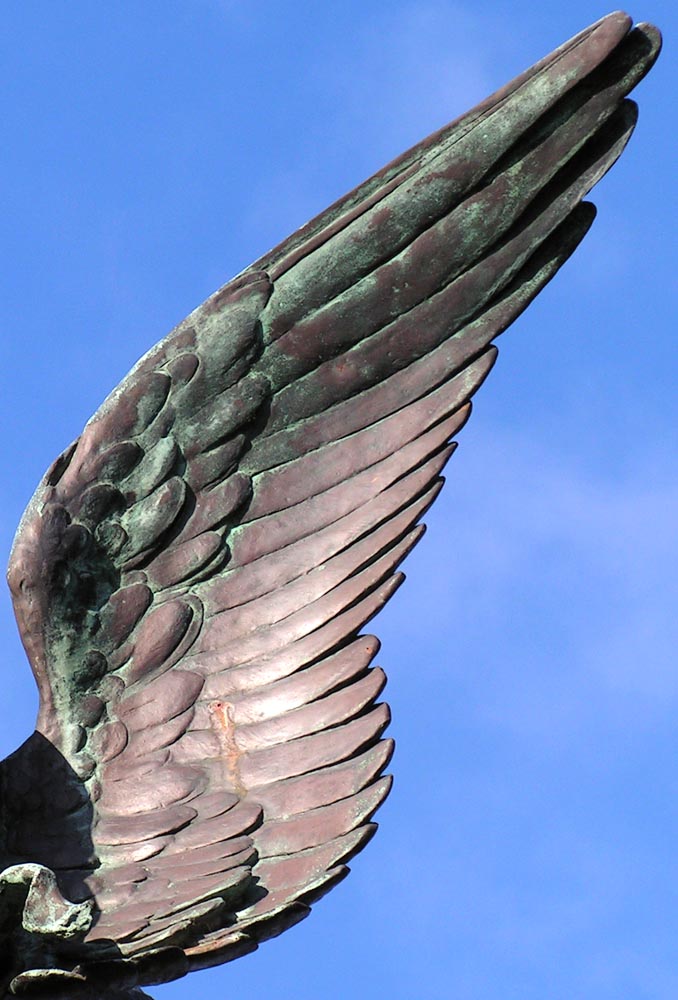 Fotografía por bobblainey para DesignCrowd (Community Contests) | Diseño #9094378