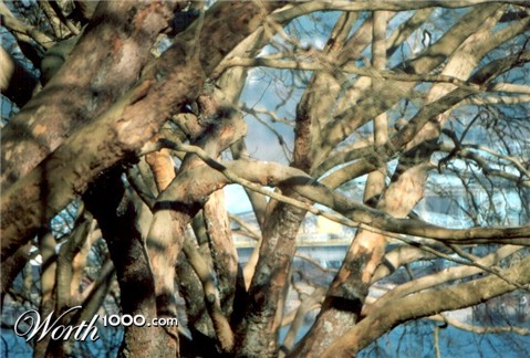 Photography by ennoia