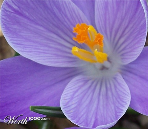 Photography by crzyme