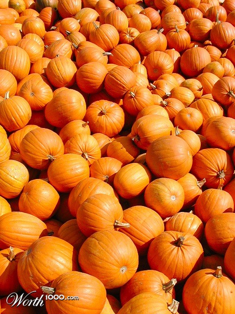 Photography by KarenC