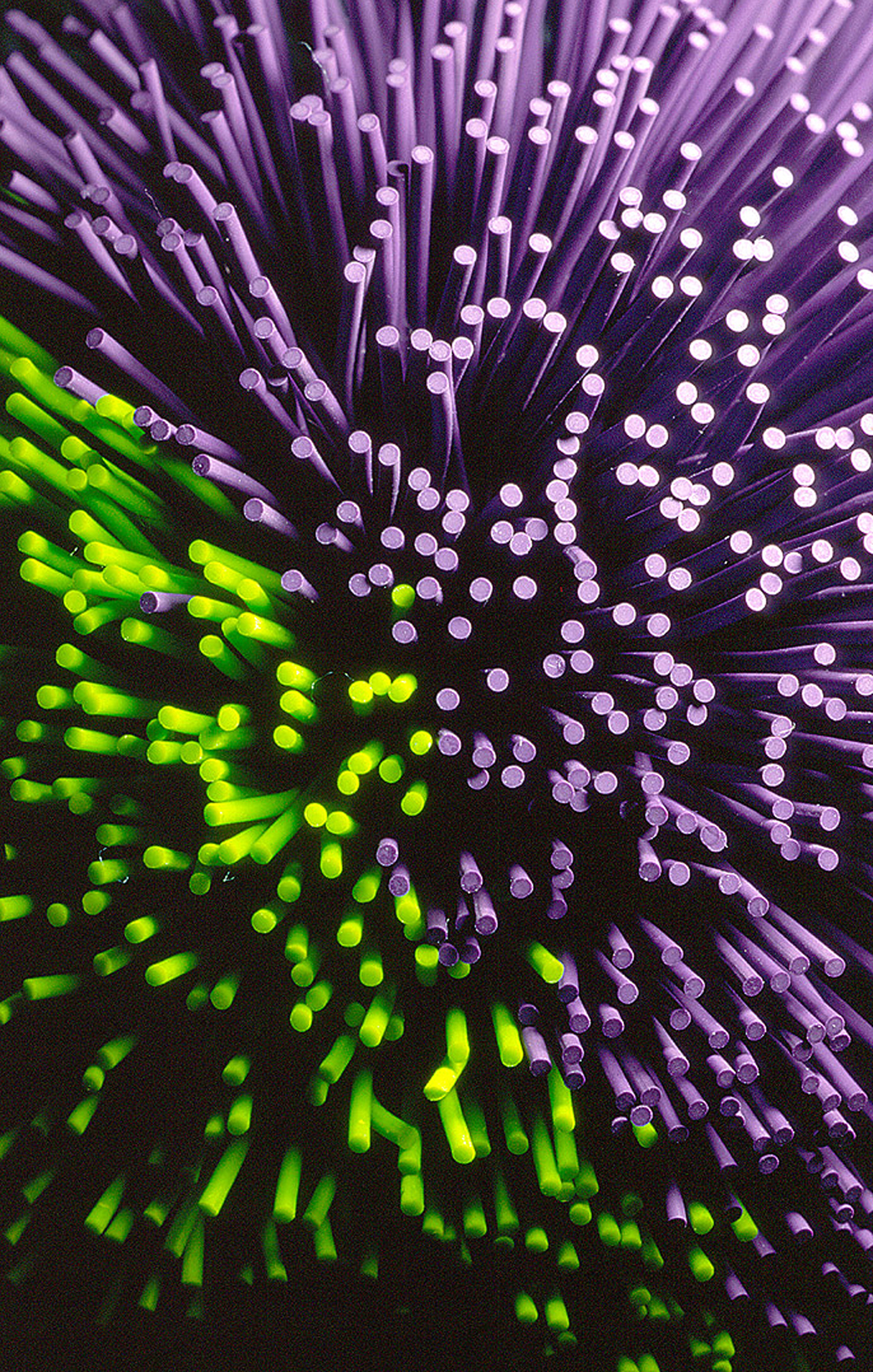 Photography by oteimages for DesignCrowd (Community Contests) | Design #9092047