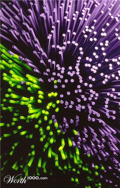 Photography by oteimages