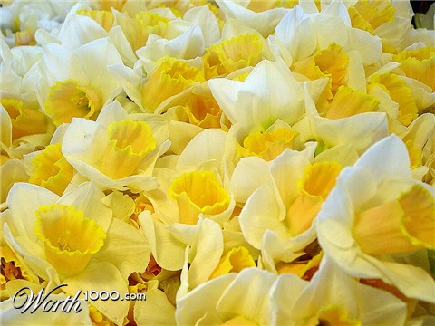 Photography by FRWalters