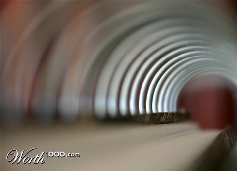 Photography by havelock