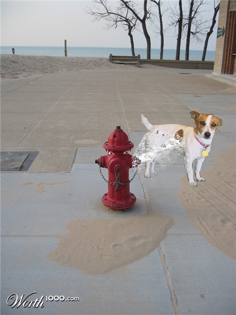 Photoshop Design by hizzouse