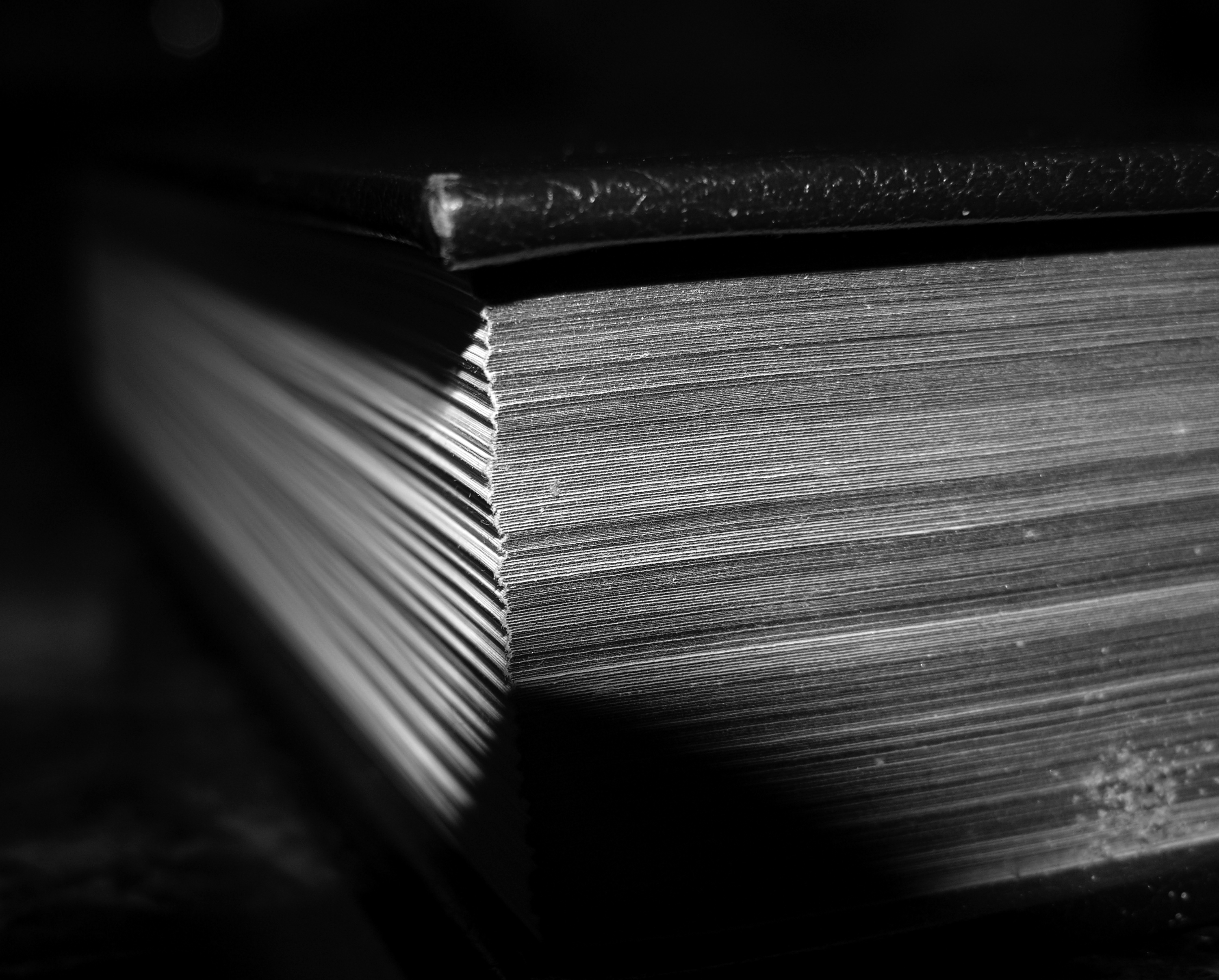 Fotografía por Ronbrandt para DesignCrowd (Community Contests) | Diseño #9091693