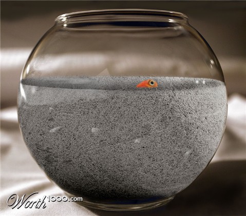 Photoshop Design by godzillatemple