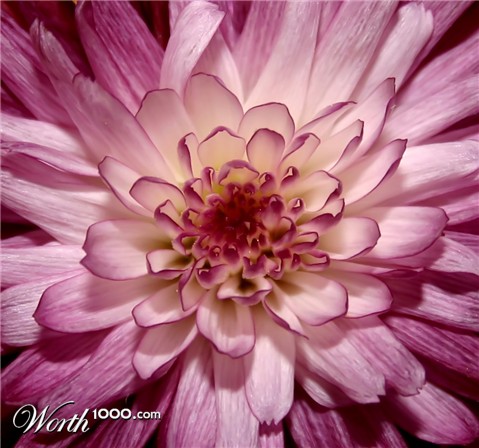 Photography by binkyat3