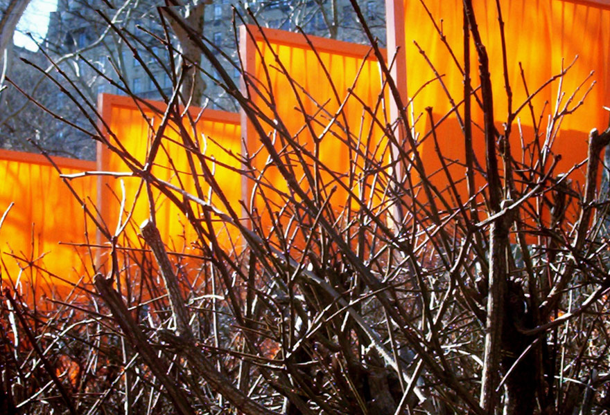 Fotografía por Redstar para DesignCrowd (Community Contests) | Diseño #9094400