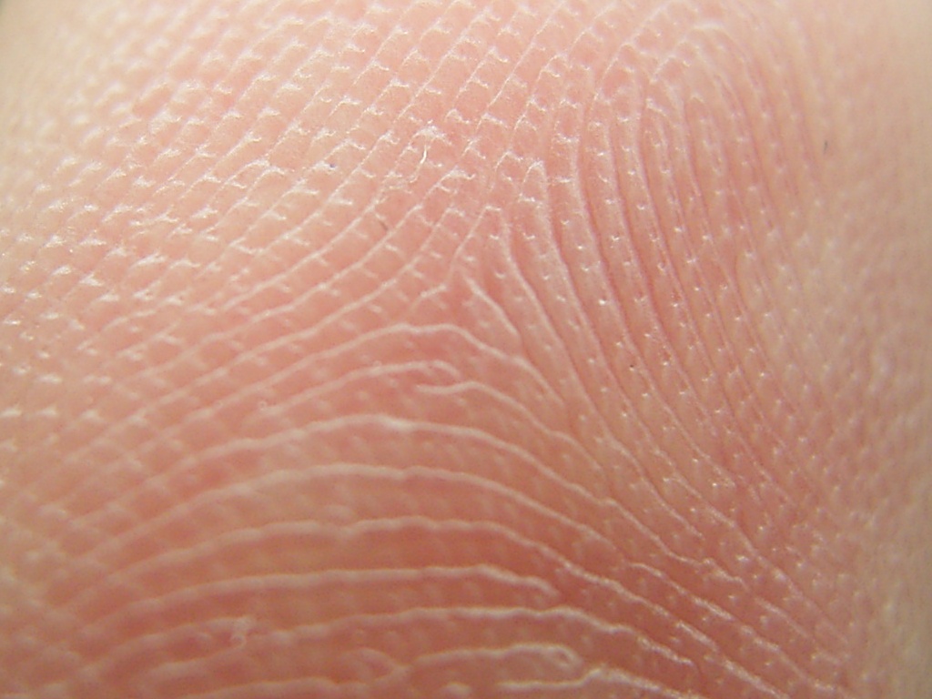 Photography by meldra for DesignCrowd (Community Contests) | Design #9092165