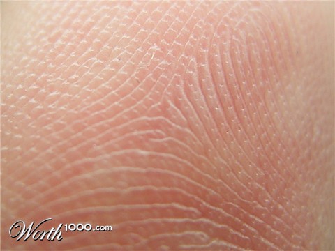 Photography by meldra