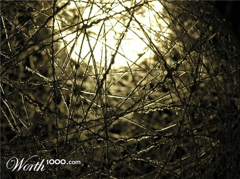 Photography by aih