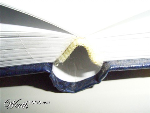 Photography by meldra