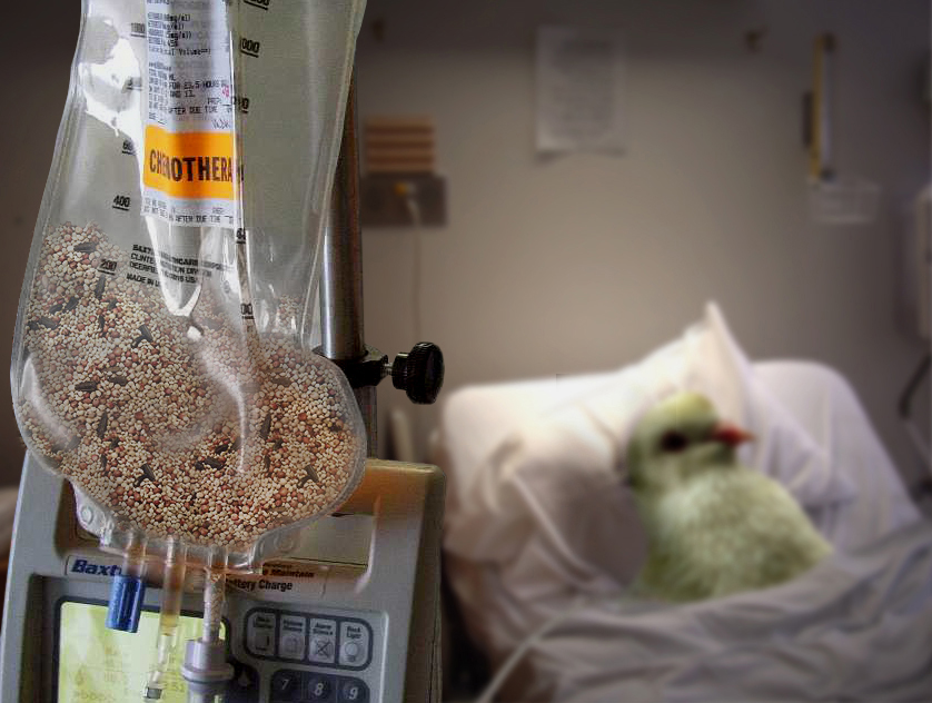 Design Photoshop par Partyshot pour DesignCrowd (Community Contests) | Design #9092907