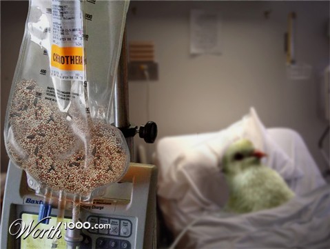 Photoshop Design by Partyshot