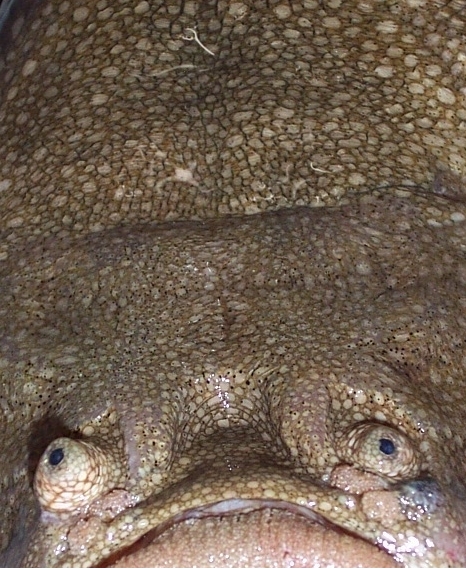 Photography by ozplasmic for DesignCrowd (Community Contests) | Design #9092178