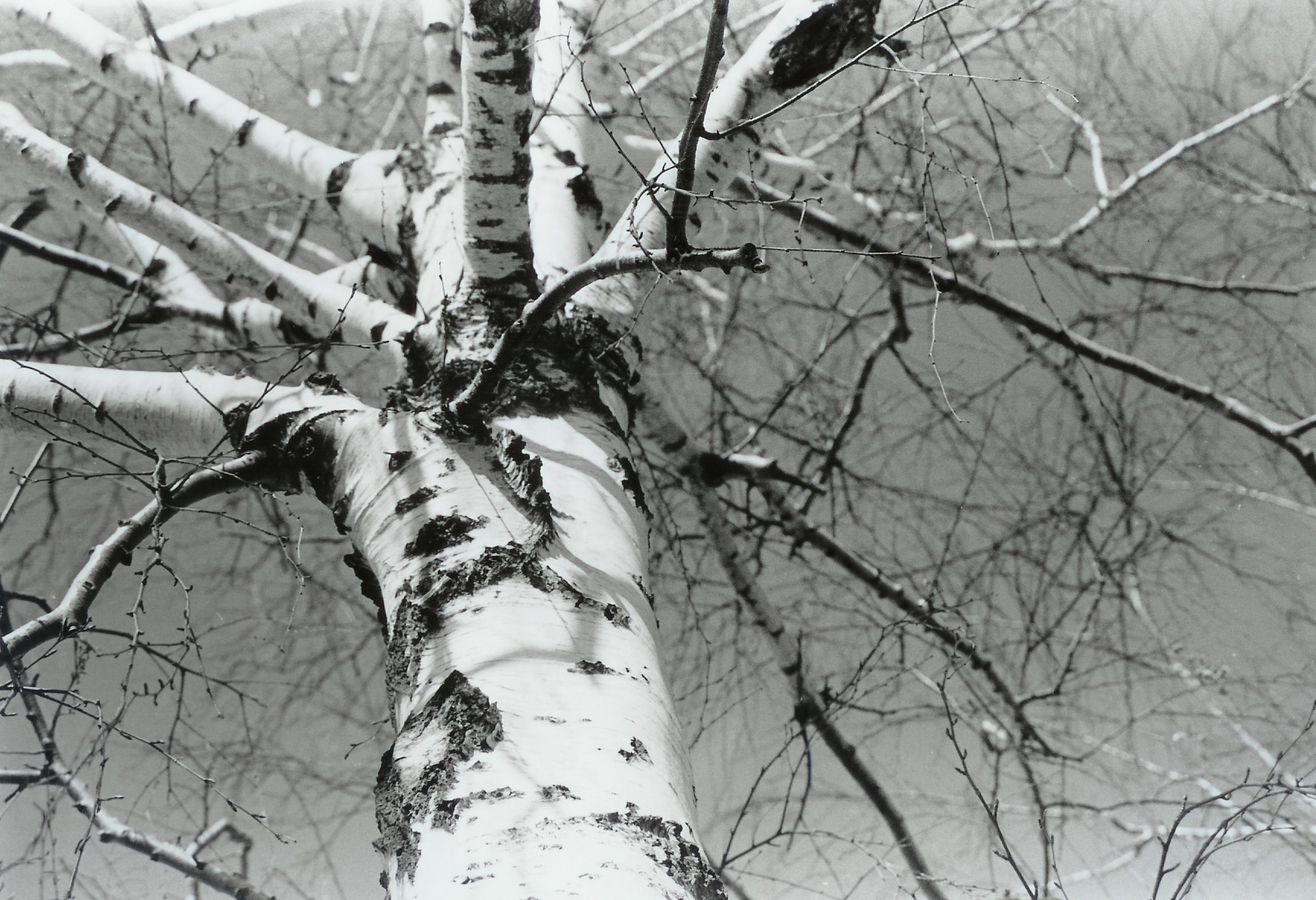 Photography by KCBroadway for DesignCrowd (Community Contests) | Design #9094423