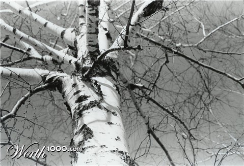 Photography by KCBroadway