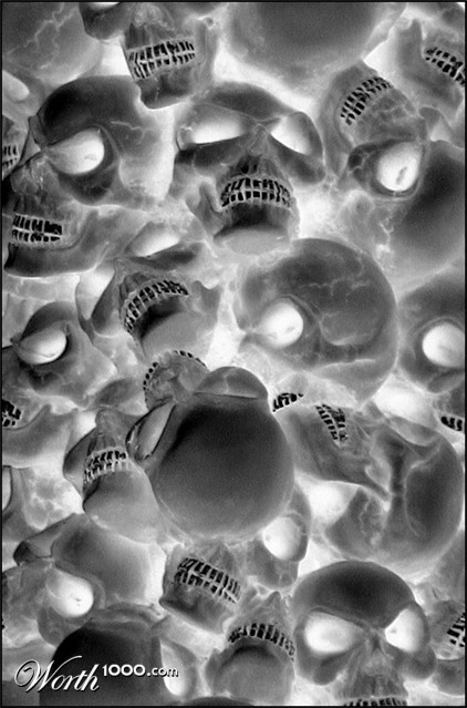 Photography by paddyjoe