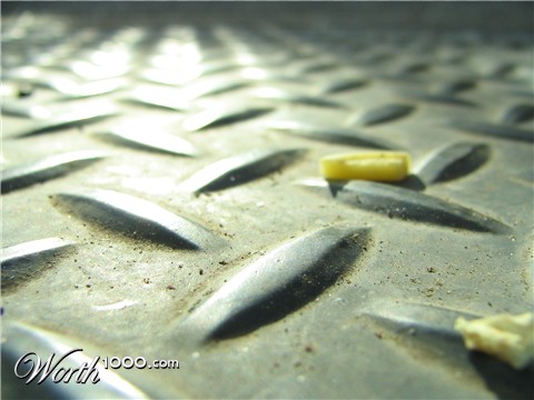 Photography by Yaralbrand