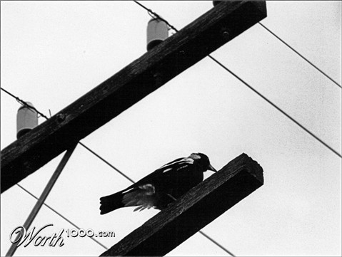 Photography by Budmulla