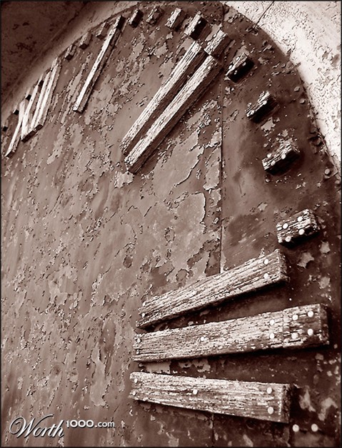 Photography by johshawil