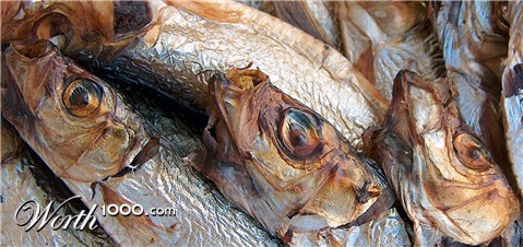 Photography by Xported