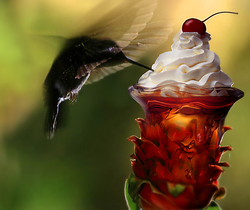Photoshop Design by zulittle for DesignCrowd (Community Contests) | Design #9094230