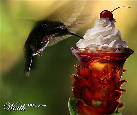 Photoshop Design by zulittle