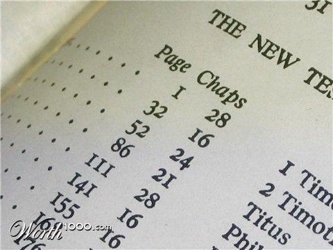 Photography by cozmo87