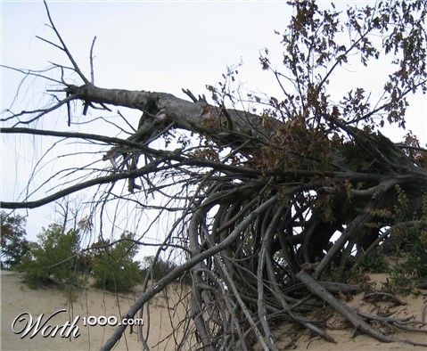 Photography by boote67