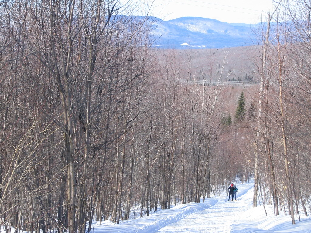 Photography by Djinny for DesignCrowd (Community Contests) | Design #9094533