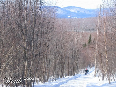 Photography by Djinny