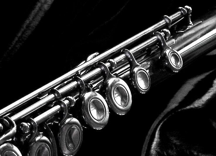 Photography by Loladiggles for DesignCrowd (Community Contests) | Design #9094524