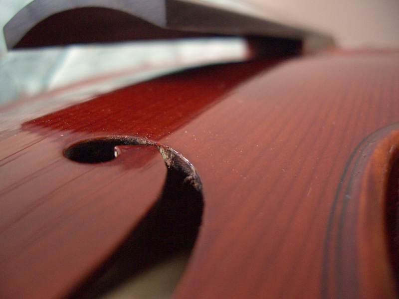 Photography by MagnusVS for DesignCrowd (Community Contests) | Design #9092452