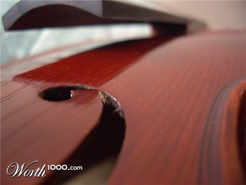 Photography by MagnusVS