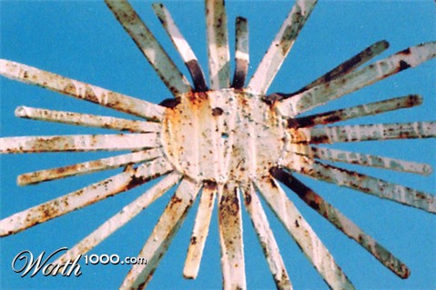 Photography by funcky