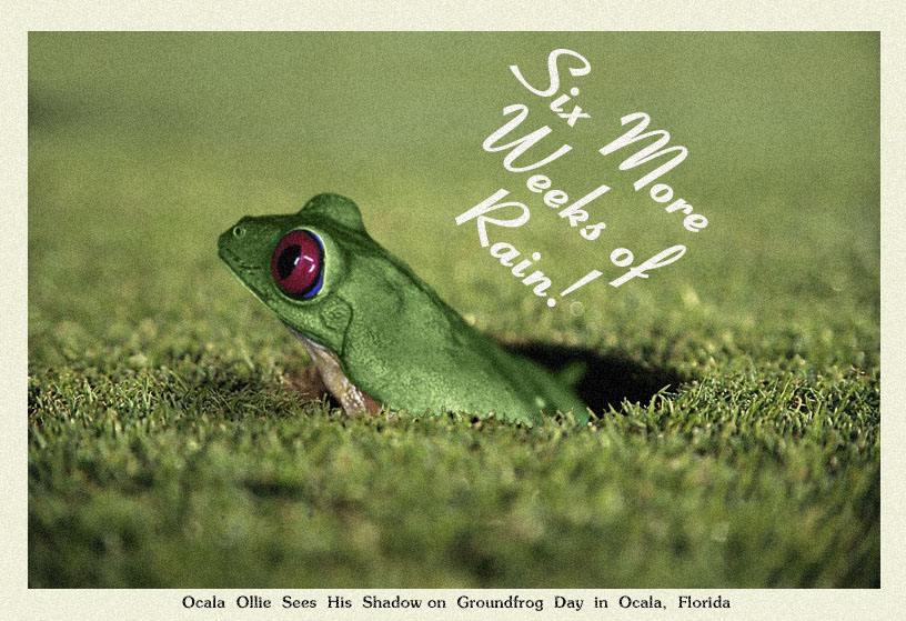 Design Photoshop par godzillatemple pour DesignCrowd (Community Contests) | Design #9093381