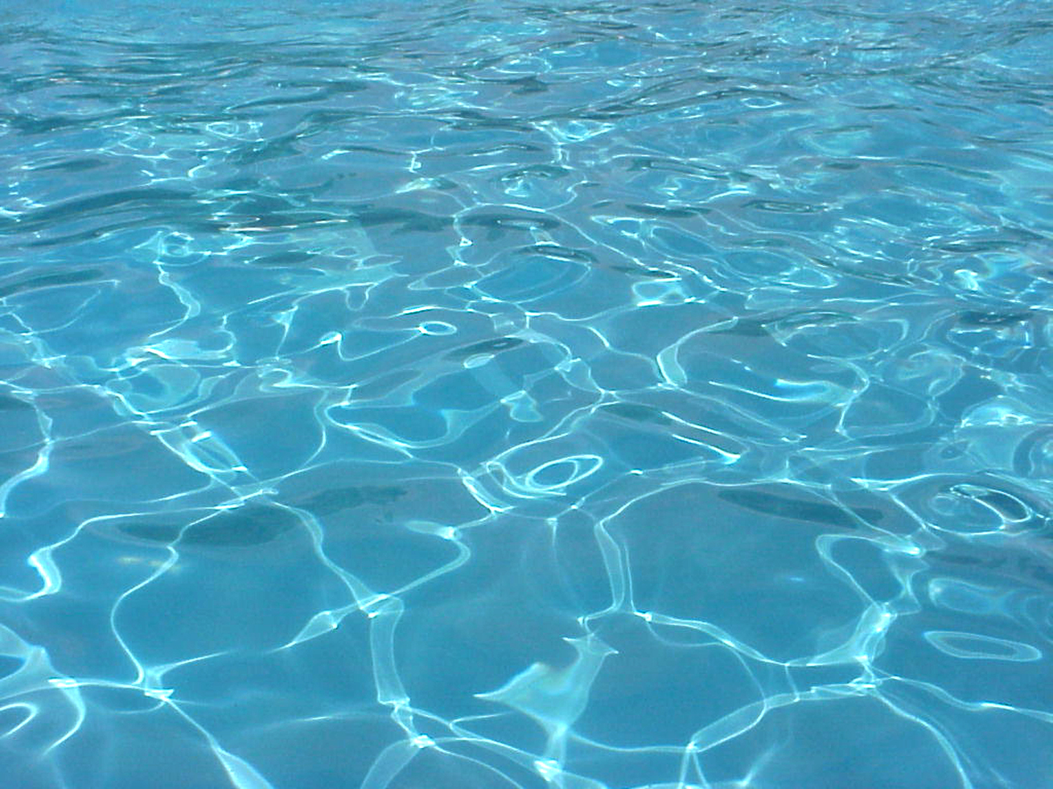 Photographie par advance2 pour DesignCrowd (Community Contests) | Design #9092475