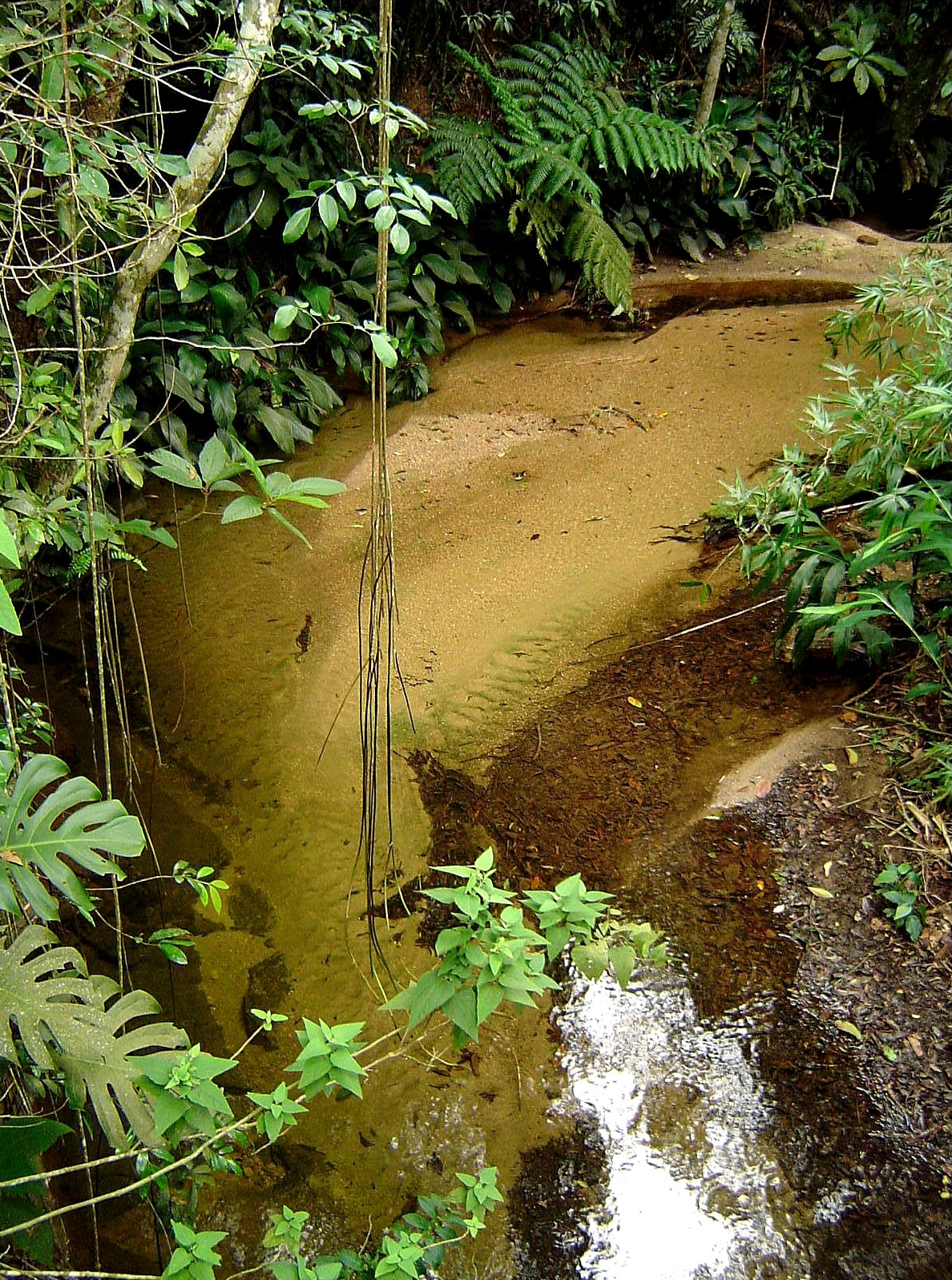 Photography by pedronurmi for DesignCrowd (Community Contests) | Design #9094525