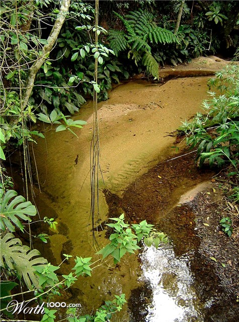 Photography by pedronurmi