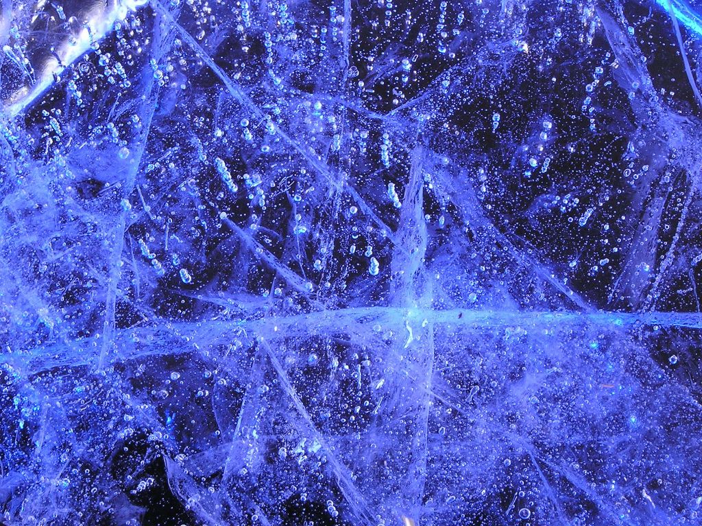 Photography by TyChO for DesignCrowd (Community Contests) | Design #9092201