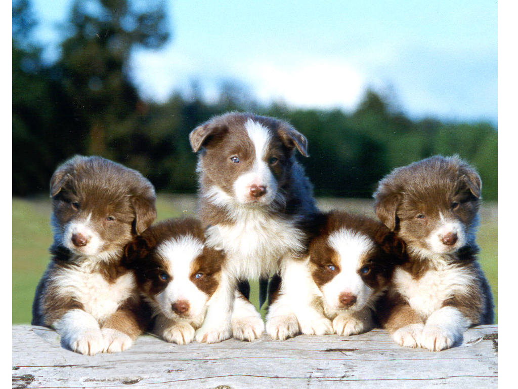 Photoshop Design by morticia3uk for DesignCrowd (Community Contests) | Design #9093808