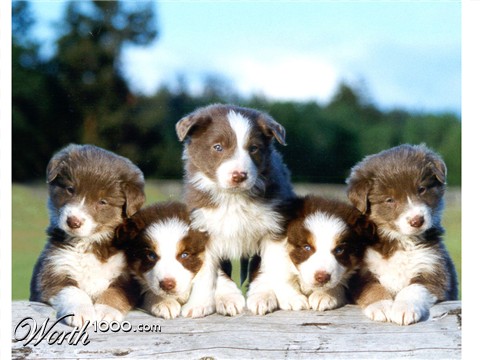 Photoshop Design by morticia3uk