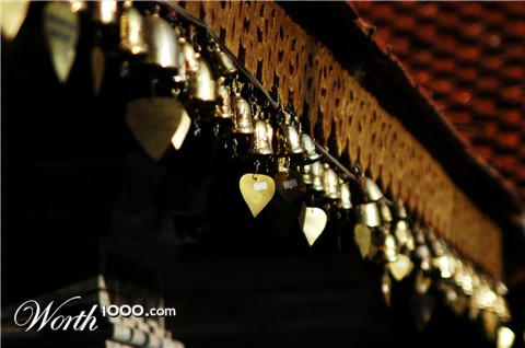 Photography by StudioSteve